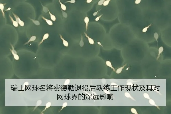 瑞士网球名将费德勒退役后教练工作现状及其对网球界的深远影响